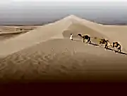 Geography of Qatar | Where is Qatar?