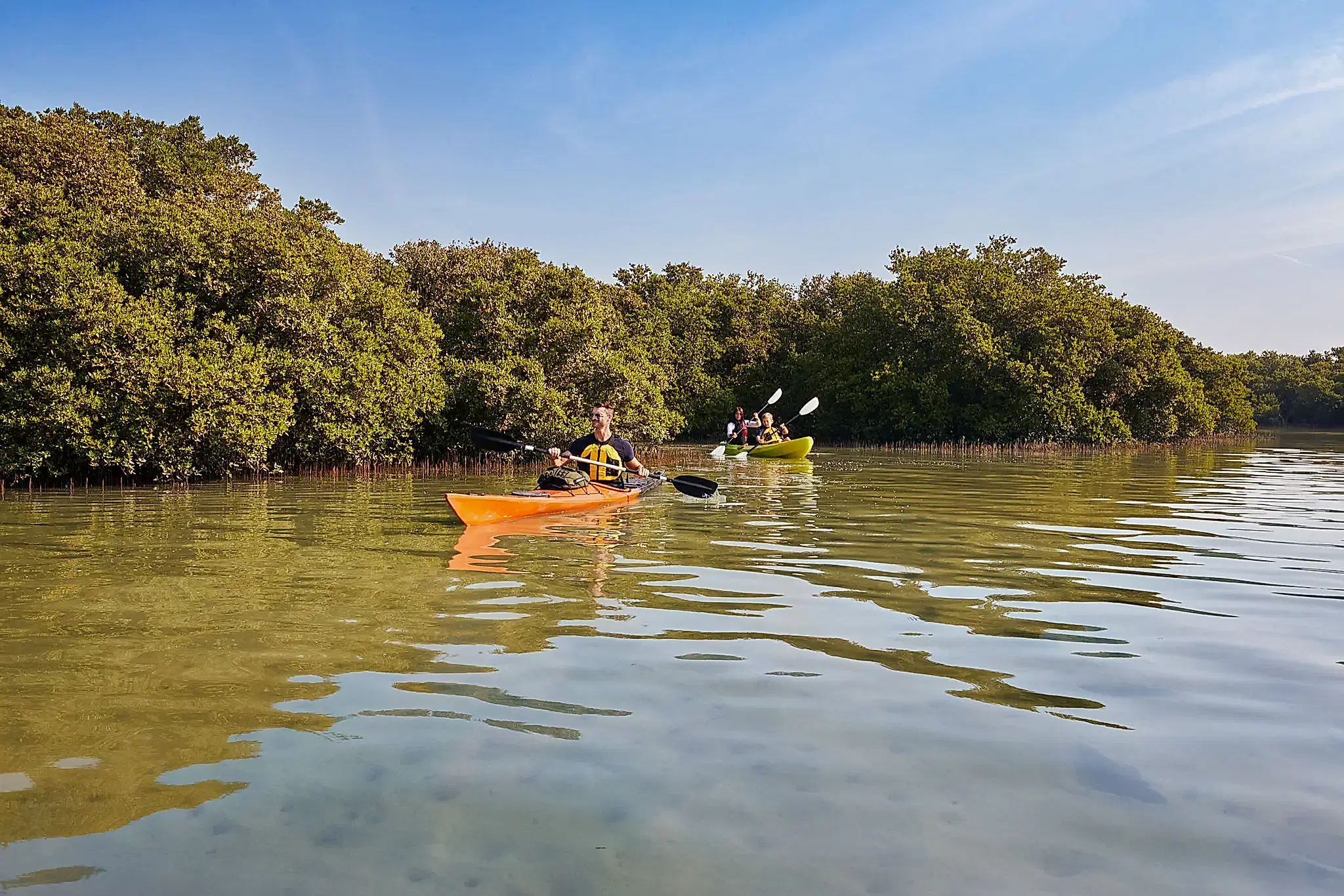 Al Thakira Mangroves