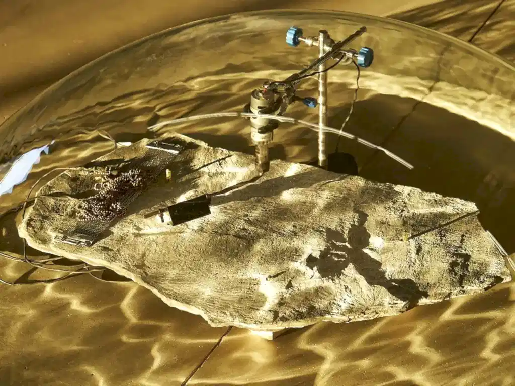 Water's Witness by Tarek Atoui